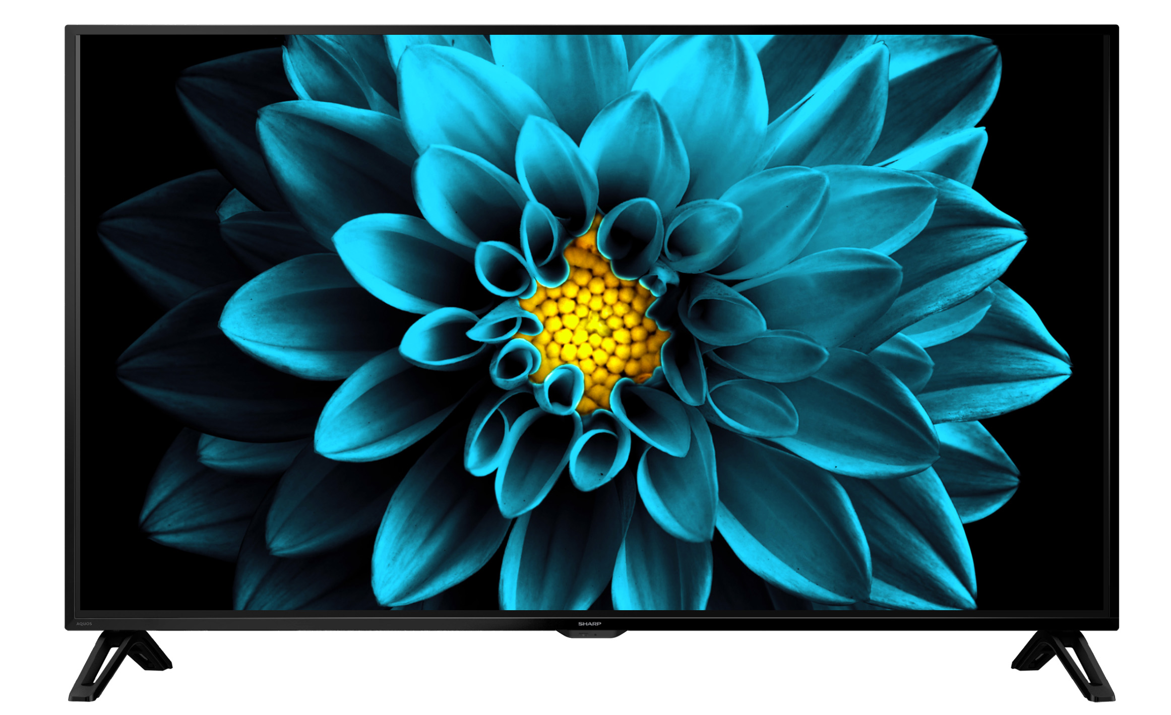 新品未使用 シャープ 4K 液晶テレビ 60V型 4TC60DN1 - テレビ