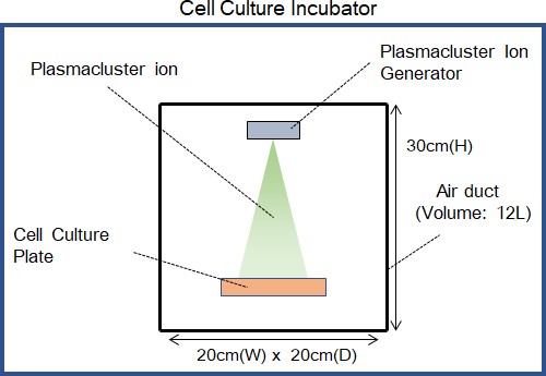 Cell incubator