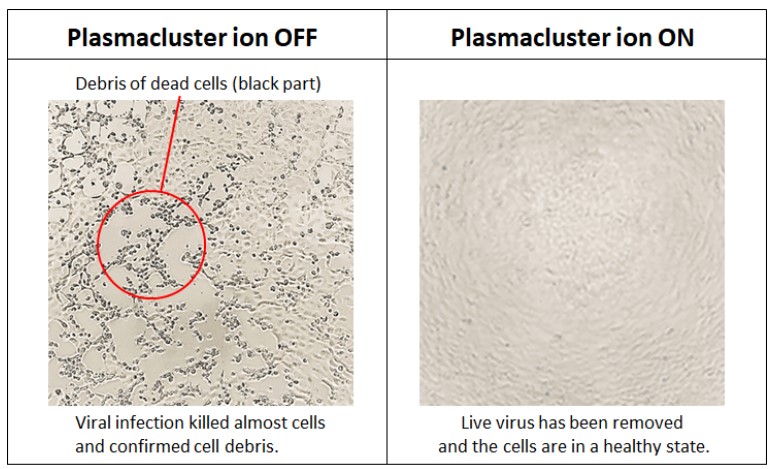 Plasmacluster ion off
