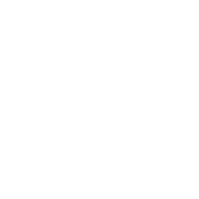 icon-1
