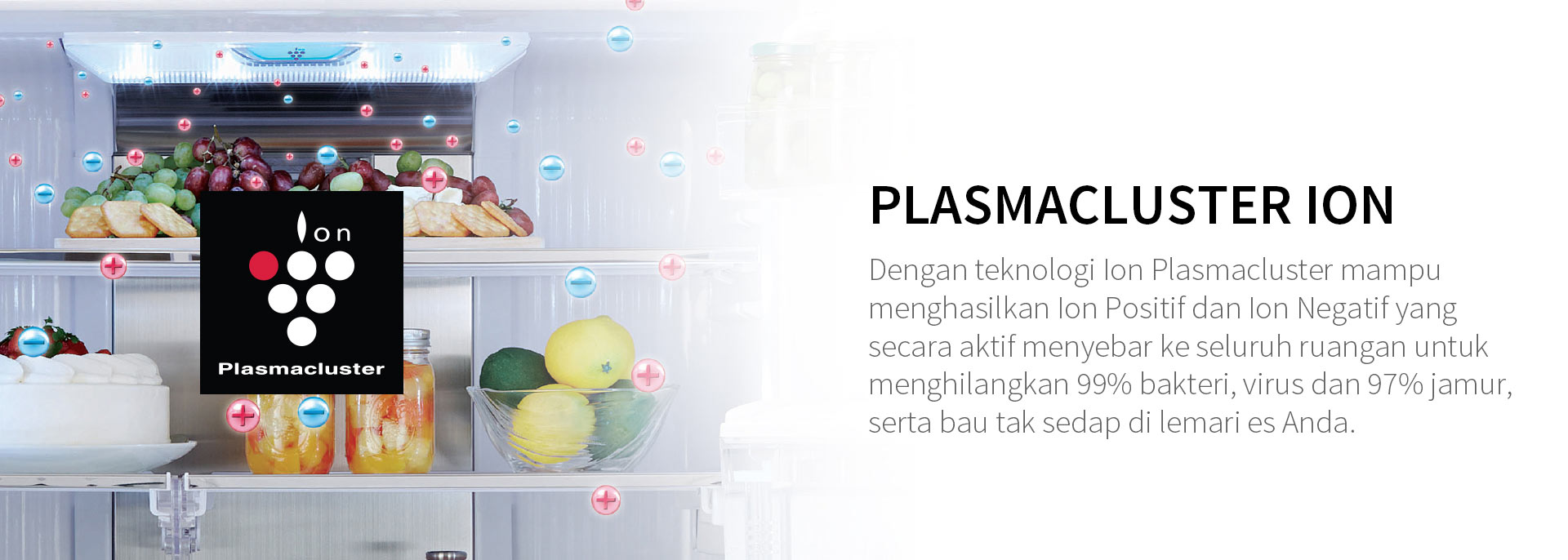 Plasmacluster.jpg