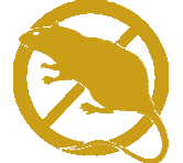 rat.jpg