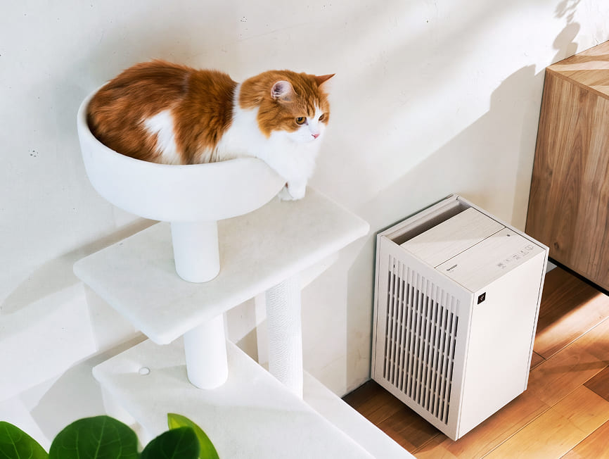 Pet mode