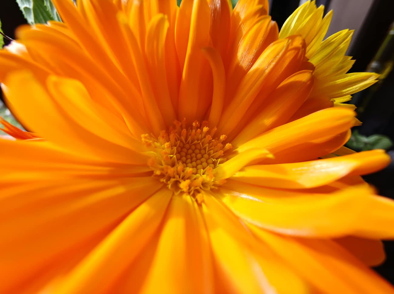 With Spectrum Sensor